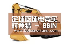 产品名称八