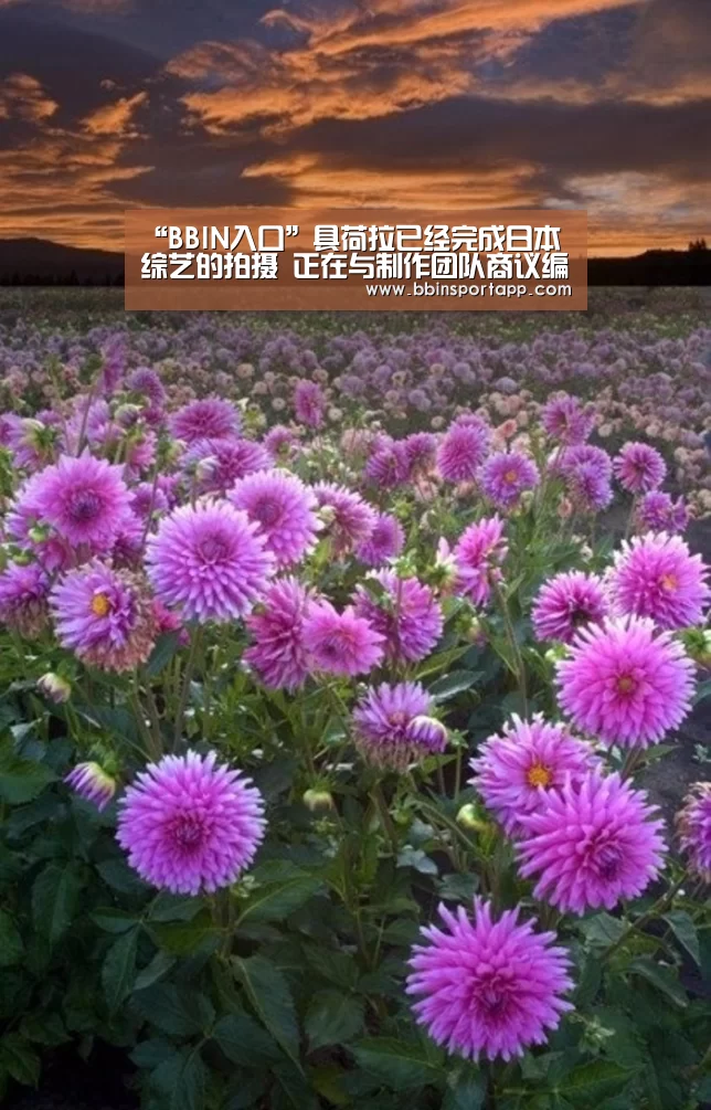 BBIN入口