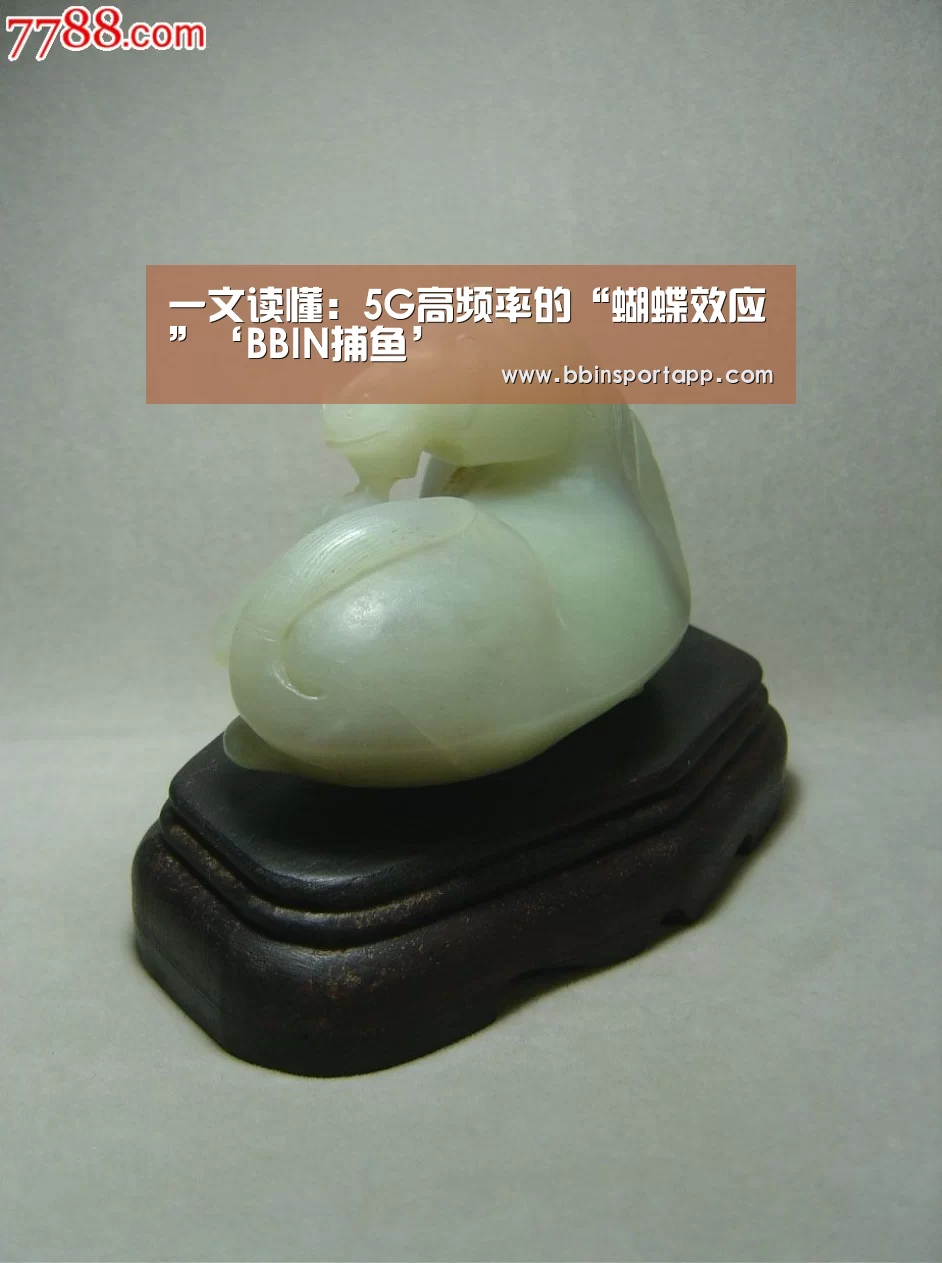 一文读懂:5G高频率的“蝴蝶效应”‘BBIN捕鱼’(图4) BBIN捕鱼