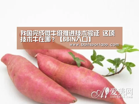 我国完成微牛级推进技术验证 这项技术牛在哪?【BBIN入口】(图3) BBIN娱乐城