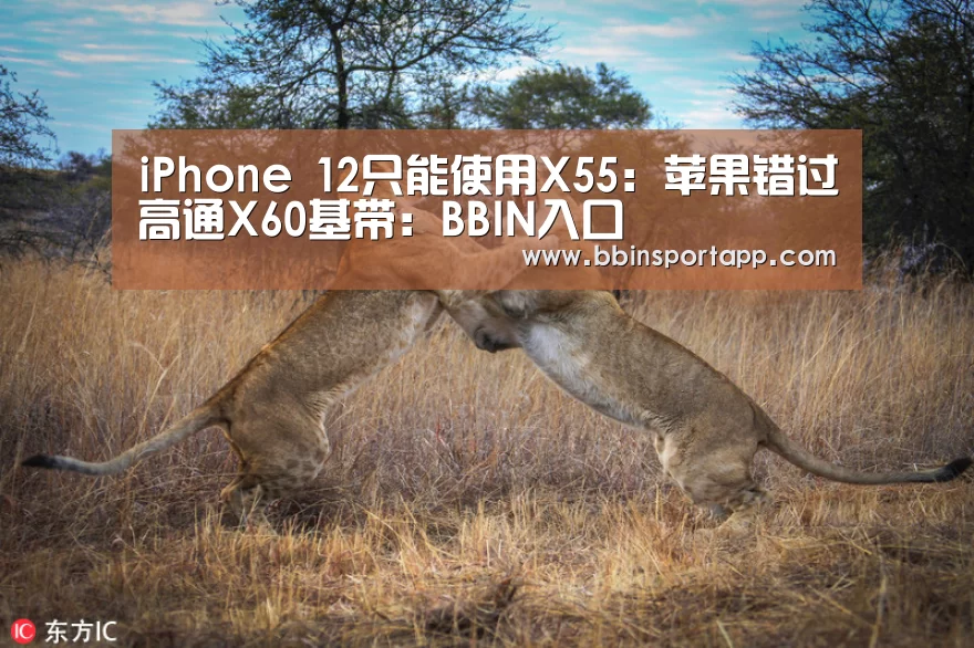 iPhone 12只能使用X55:苹果错过高通X60基带:BBIN入口(图4) BBIN入口