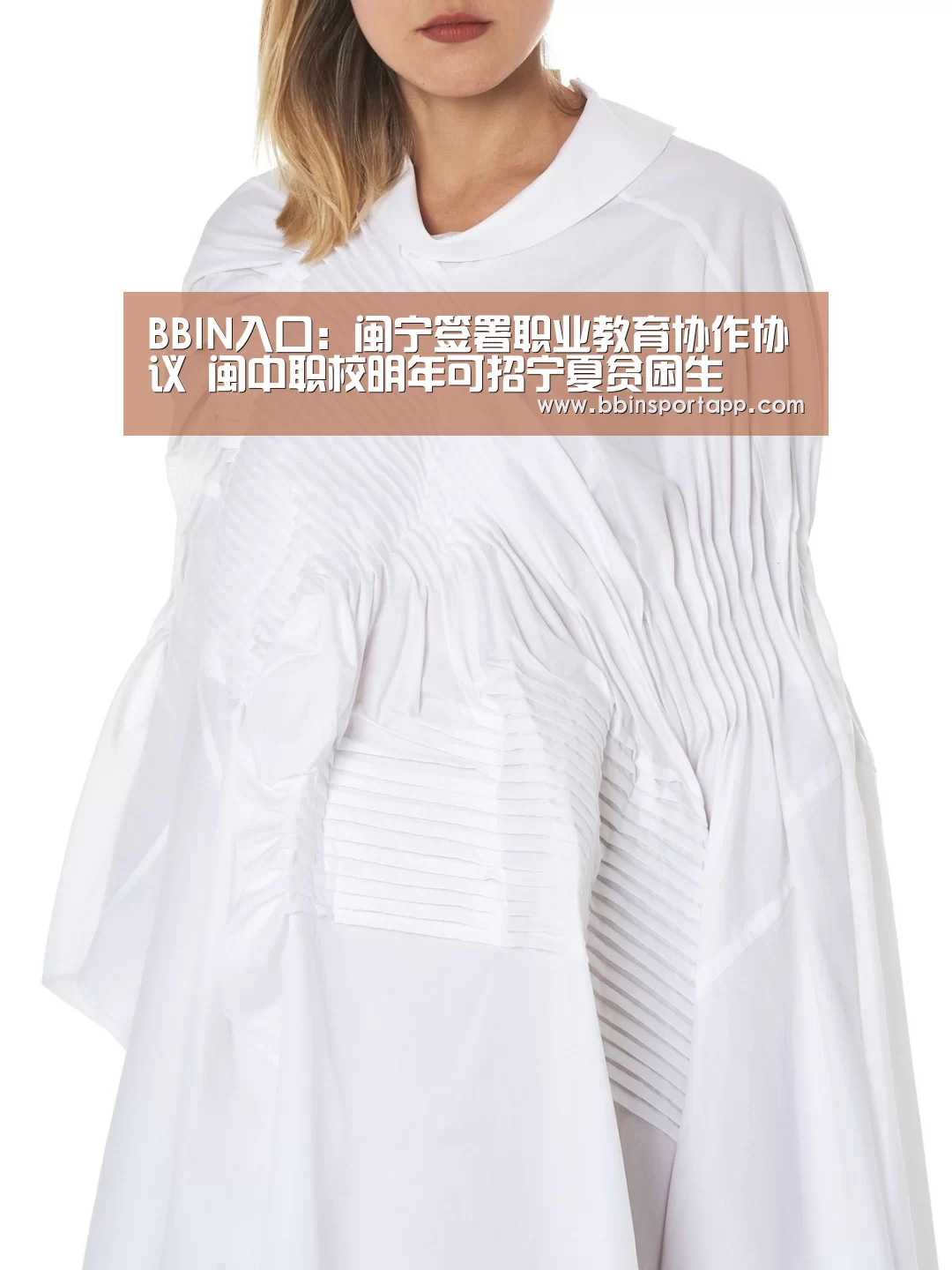 BBIN入口:闽宁签署职业教育协作协议 闽中职校明年可招宁夏贫困生(图1) BBIN娱乐城
