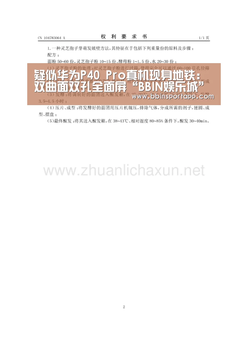 疑似华为P40 Pro真机现身地铁:双曲面双孔全面屏“BBIN娱乐城”(图3) BBIN捕鱼