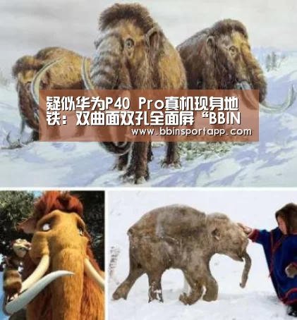 疑似华为P40 Pro真机现身地铁:双曲面双孔全面屏“BBIN娱乐城”(图4) BBIN娱乐城