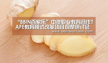 “BBIN百家乐”中澳职业教育合作TAFE教育模式改革项目观摩研讨会在北京举行(图1) BBIN娱乐城