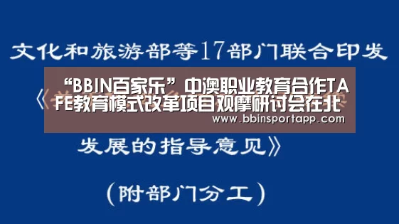 “BBIN百家乐”中澳职业教育合作TAFE教育模式改革项目观摩研讨会在北京举行(图3) BBIN捕鱼