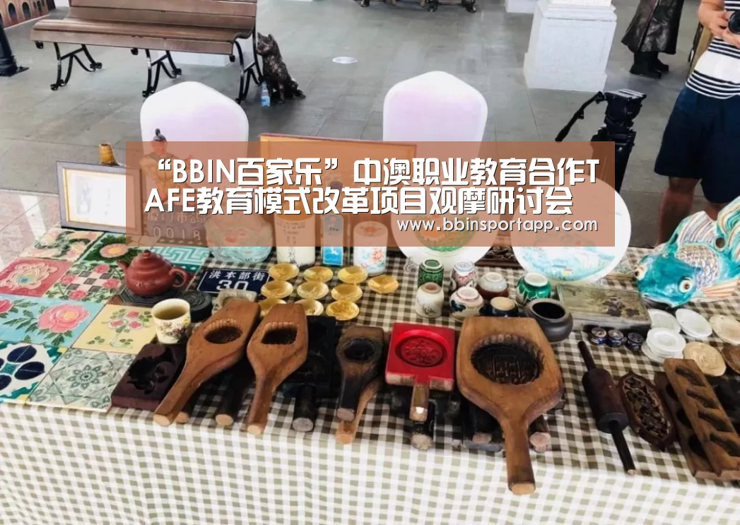 “BBIN百家乐”中澳职业教育合作TAFE教育模式改革项目观摩研讨会在北京举行(图2) BBIN入口
