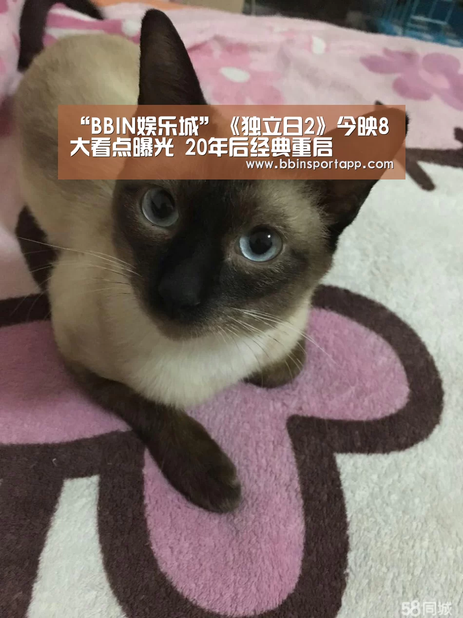 “BBIN娱乐城”《独立日2》今映8大看点曝光 20年后经典重启(图2) BBIN娱乐城